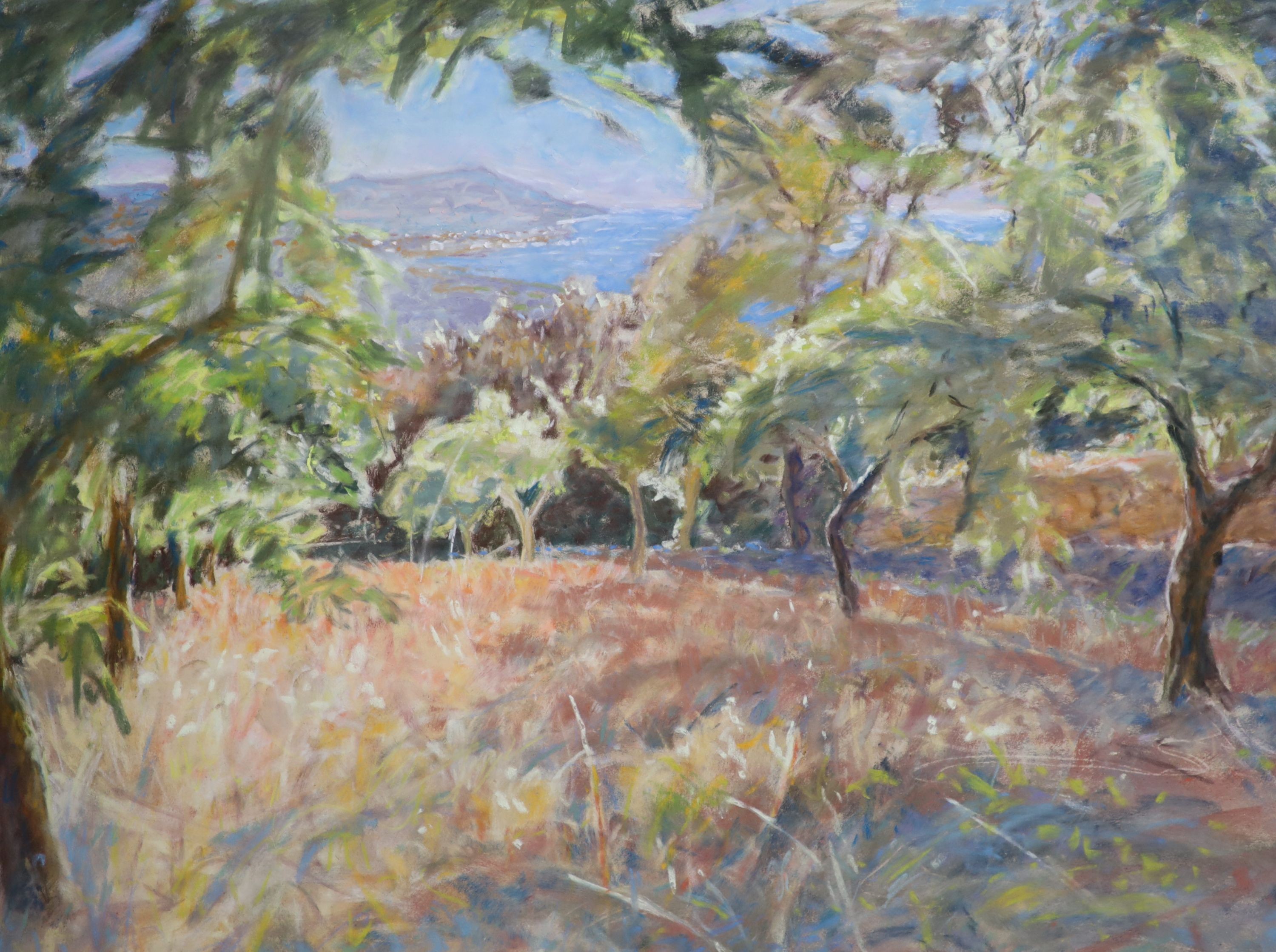Patrick Cullen (Contemporary), Orchard, Grats (Languedoc), Pastel, 46 x 61cm.